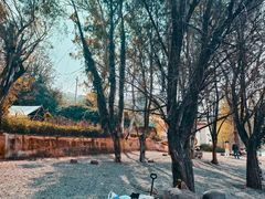 -顺城金记卤鸡·清真