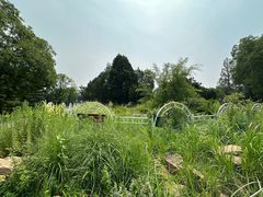 -国家植物园南园