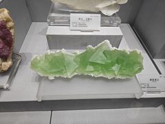 -湖南省地质博物馆