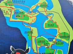 -溱湖国家湿地公园