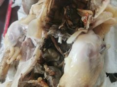 -吉英盐焗鸡(文中路店)