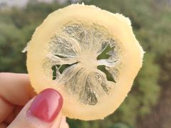 -河南财经政法大学(郑东校区)