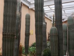 -正佳雨林生态植物园