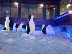 -世界之窗阿尔卑斯冰雪世界