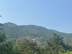 -北京西山国家森林公园