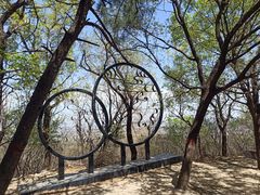 -北京鹫峰国家森林公园