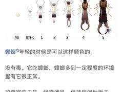 -烹湘·鲜炒湖南土菜(海珠店)