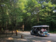 -凤凰山国家森林公园