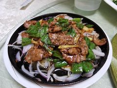 -丁老爷子苏香圆