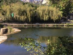 -无染寺
