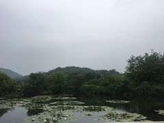 -白马涧龙池景区