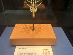 -青岛市博物馆