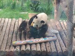 -大连森林动物园