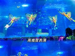 -正佳极地海洋世界