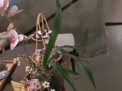 -施奈儿.洗头頭療.按摩SPA.采耳(上梅林店)