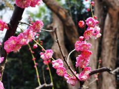 -静安雕塑公园