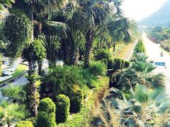 NONG&nbsp;NOOCH&nbsp;TROPICAL&nbsp;GARDEN-东芭乐园