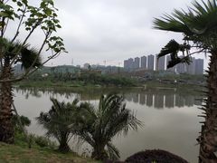 -枫香湖儿童公园