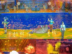 -海合安青岛极地海洋公园