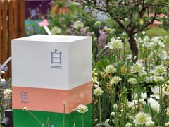 -深圳仙湖植物园