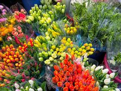 -循礼门鲜花花市(武汉循礼门店)