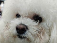 -纳吉亚猫专科动物诊疗中心(蒋宅口分院)