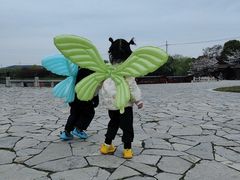 -苏州太湖国家湿地公园