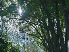 -东钱湖旅游度假区