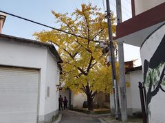 -雨花胜境