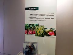 -陕西自然博物馆