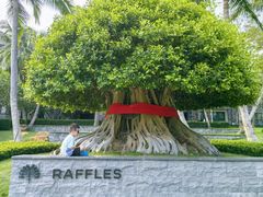 -海南清水湾莱佛士酒店