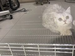 -宠颐生动物医院·小陆分院
