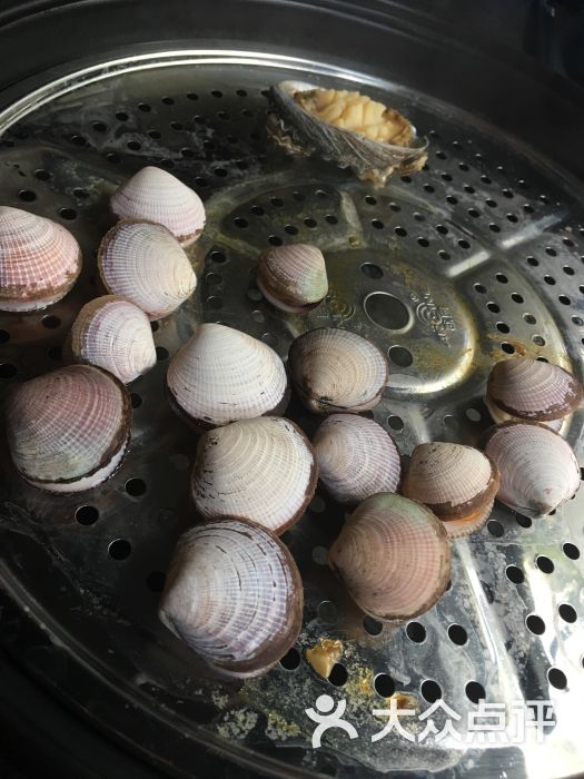 八方海鲜蒸汽火锅七头鲍图片 - 第7张