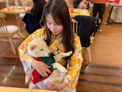 -豆柴町-柴犬主题狗咖(红鼎国际C座店)