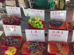 -马陆小张葡萄园农家乐