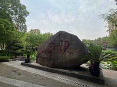 -陈家山荷花公园
