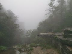 -庐山风景区花径公园