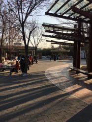 -大望京儿童游乐场