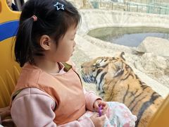 -栾川竹海野生动物园