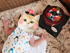 -姆们M Sweetie Cake(三里屯店)