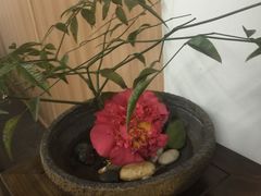 -唐风温泉