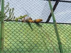 -新疆天山野生动物园