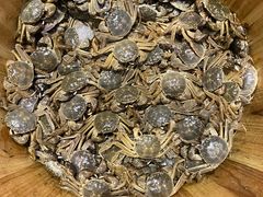 -永远爱烤肉火锅自助(龙德广场店)