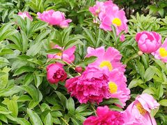 -长春公园(普阳街道)