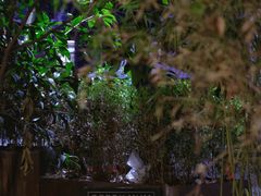 -黑胶星球(华发中城商都店)