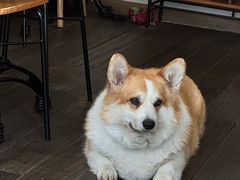 -肥朵食堂(带梦胡同店)