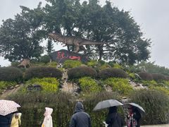 -自贡恐龙博物馆