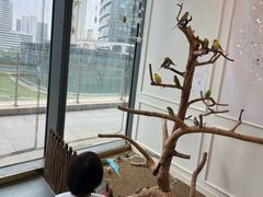 -FAIRYLAND龙族星球主题餐厅(凯丹广场店)