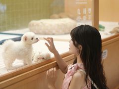 -帕帕拉兹宠物(亚洲旗舰店)