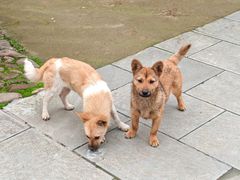 -清漾毛氏文化村